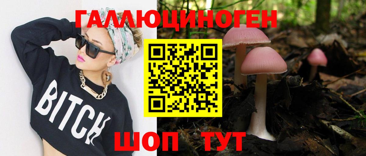 Псилоцибиновые грибы мицелий  Галлюциногенные грибы Psilocybe  Северск  Вход с VPN 