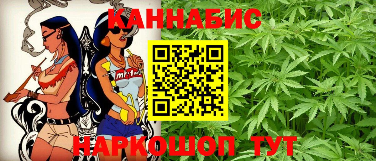 Конопля сатива Северск